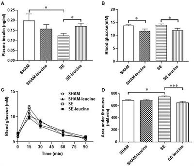 L-Leucine Improves Metabolic Disorders in Mice With in-utero Cigarette Smoke Exposure